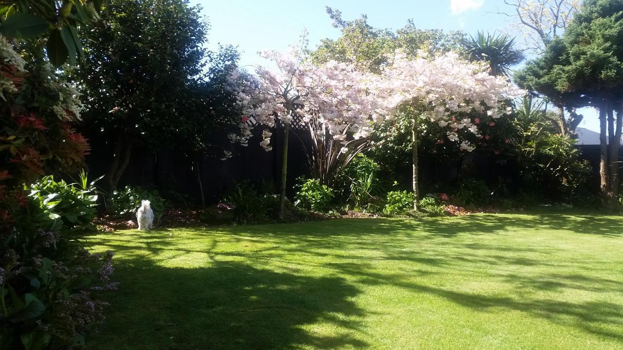 Berni'S Boutique Bnb Christchurch Exteriér fotografie